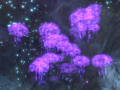 Thumbnail for version as of 14:16, 5 August 2023