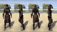 ON-item-armor-New Moon Priest Medium (Female).jpg
