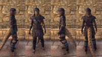 ON-item-armor-Leather-Jack-Argonian-Male.jpg