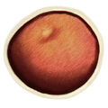 Thumbnail for version as of 17:45, 29 May 2025