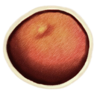 OBR-icon-ingredient-Tomato.png
