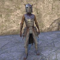 Nedic Keptu Armor (male)