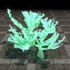ON-furnishing-Elkhorn Coral, Verdant Branching.jpg