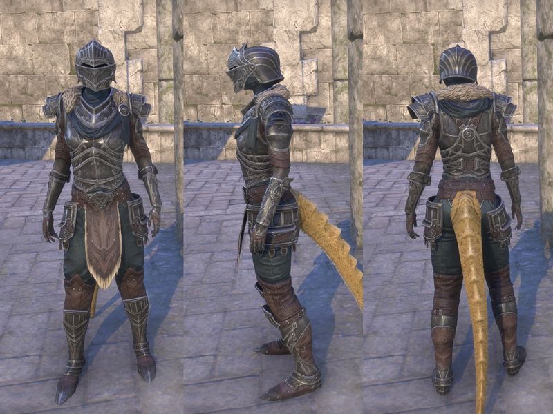 File:ON-item-armor-Ebonsteel Knight Female.jpg