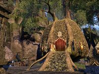 ON-place-Mages Guild (Redfur Trading Post).jpg