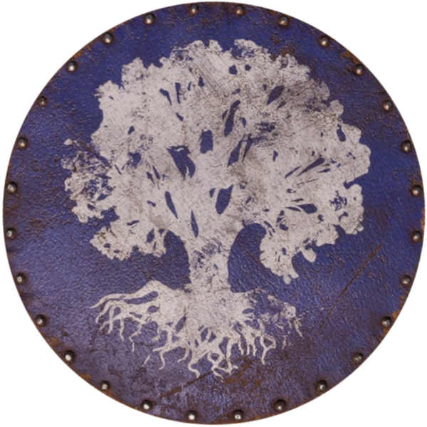 File:OBR-item-Chorrol Shield.png
