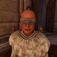 OBR-npc-Blind Moth Priest 14C472 02.jpg