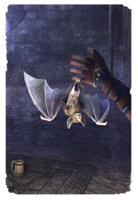 ON-card-Summon Bat.png