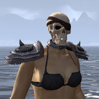 ON-item-armor-Pirate Skeleton.jpg