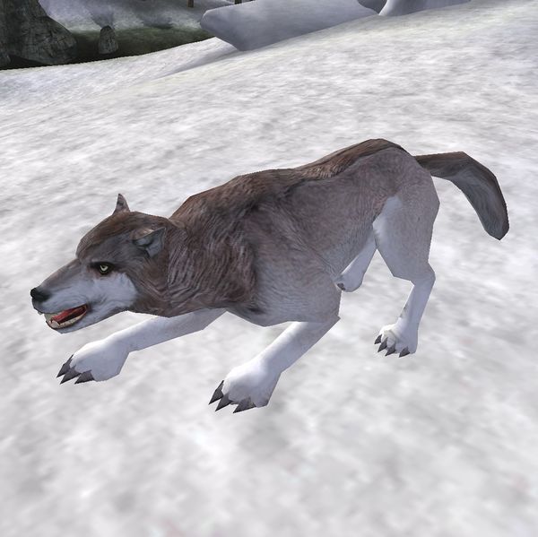 File:Prolyssa Snow Wolf update.jpg