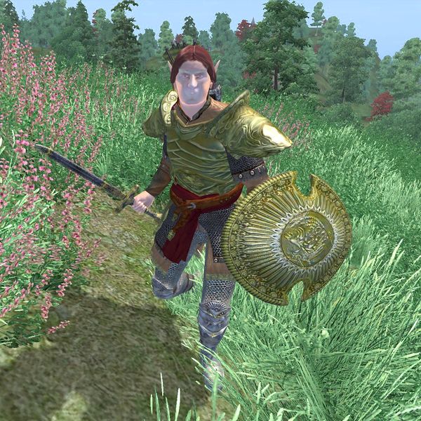 File:OB-npc-Vampire Archer Male.jpg