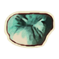 OBR-icon-ingredient-Painted Troll Fat.png