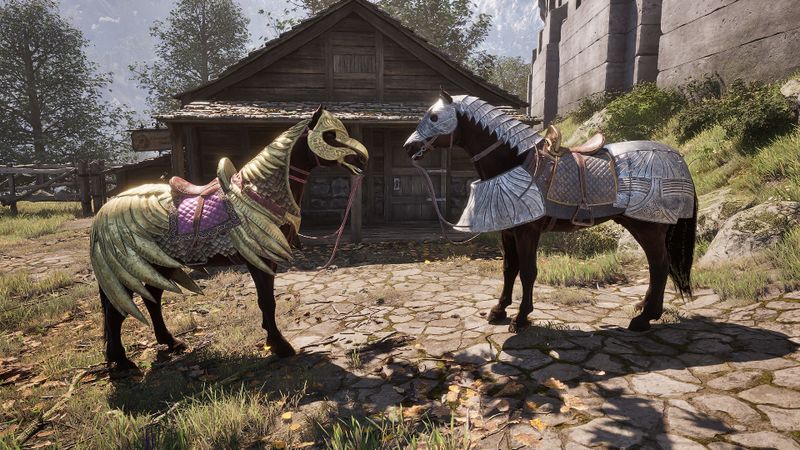 File:OBR-item-Horse Armor.jpg