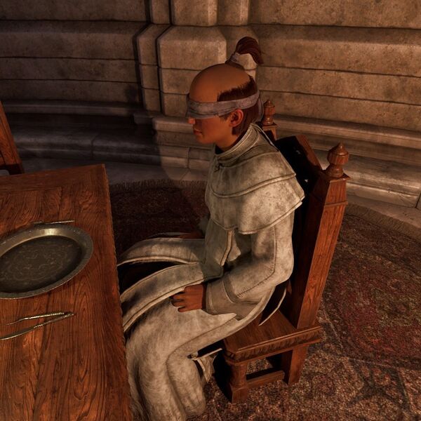 File:OBR-npc-Blind Moth Priest 14C472.jpg