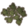 ON-icon-furnishing-Bushes, Ivy Cluster.png