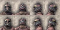 ON-item-armor-Exile's Revenge Heavy Beast Races.jpg
