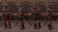ON-item-armor-Paravant's Letale (male).jpg