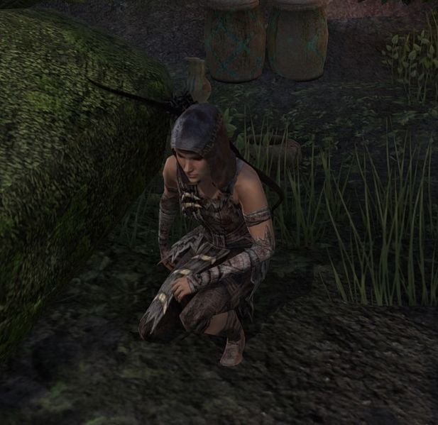 File:ON-npc-Karthdar Protector.jpg