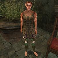 TR3-npc-Arieglos of Elden Root.jpg
