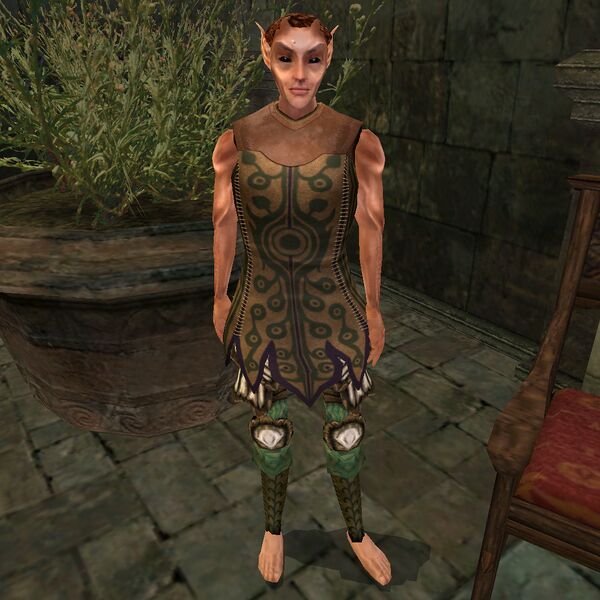 File:TR3-npc-Arieglos of Elden Root.jpg