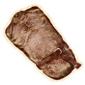 Thumbnail for version as of 05:48, 31 May 2025