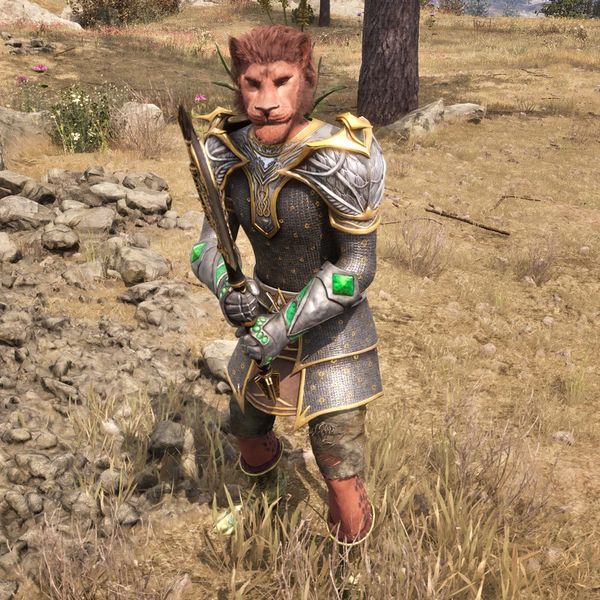 File:OBR-npc-BanditKM.jpg