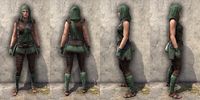 ON-item-armor-Imperial Light Jerkin 1 Female.jpg