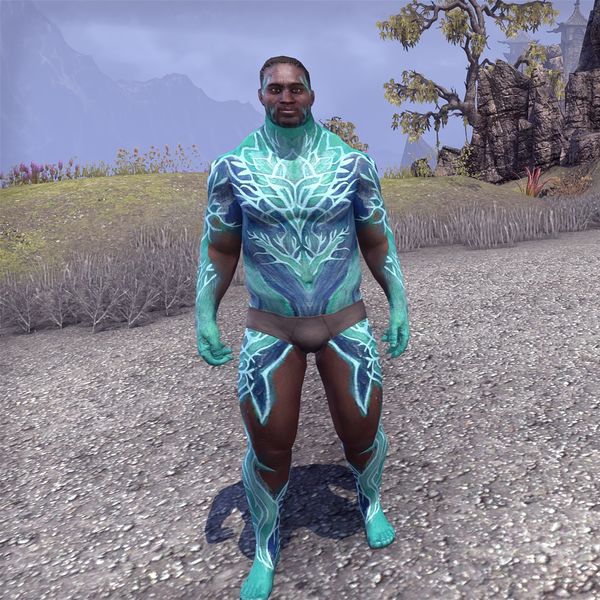 File:ON-skin-Dawnwood Tender's Skin (male).jpg