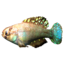 SR-icon-ingredient-Pearlfish.png