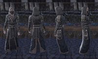 ON-item-armor-Akaviri Robe-Male 02.jpg