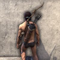ON-item-weapon-Skinchanger Bow.jpg