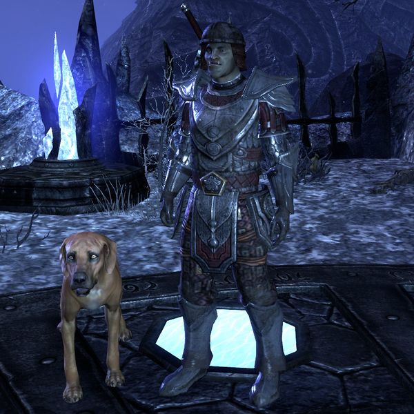 File:ON-npc-Fighters Guild Soldier (Skordo).jpg