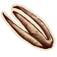 OBR-icon-ingredient-Stinkhorn Cap.png