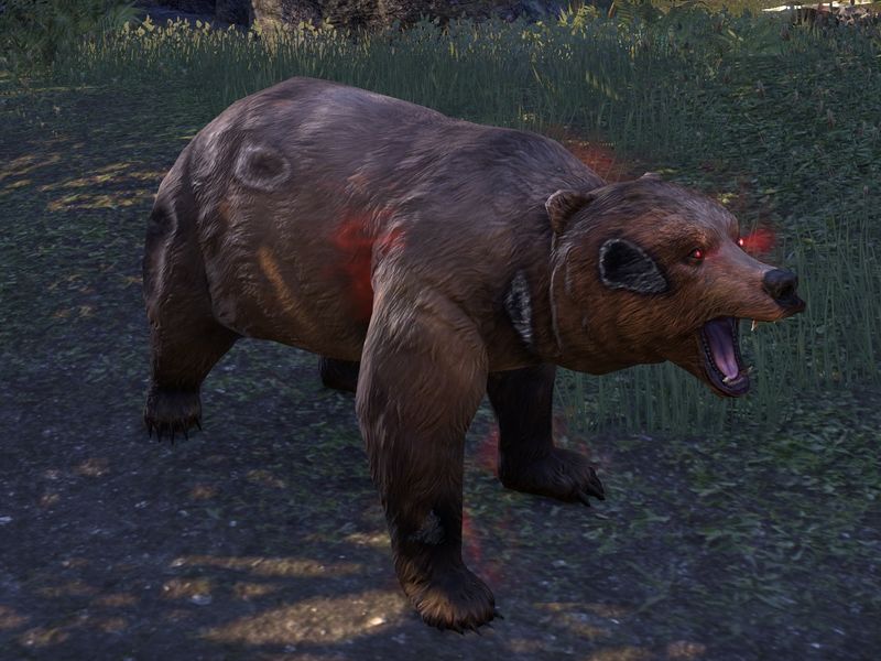 File:ON-creature-Bear 05.jpg