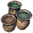 ON-icon-dye stamp-Seedling Fiddlehead.png