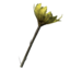 SR-icon-ingredient-Spiddal Stick.png