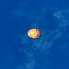 SRMOD-LOTD-tide-scallop shell-orange and pink.jpg