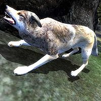 OB-creature-Timber Wolf.jpg