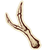 OBR-icon-ingredient-Bone Shard.png