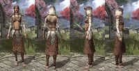 ON-item-armor-Homespun-Robe-Bosmer-Female.jpg