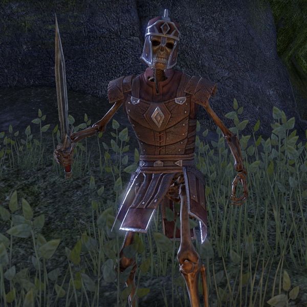 File:ON-npc-Skeletal Warrior 03.jpg