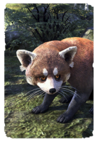 ON-card-Rustbite Ringtail.png