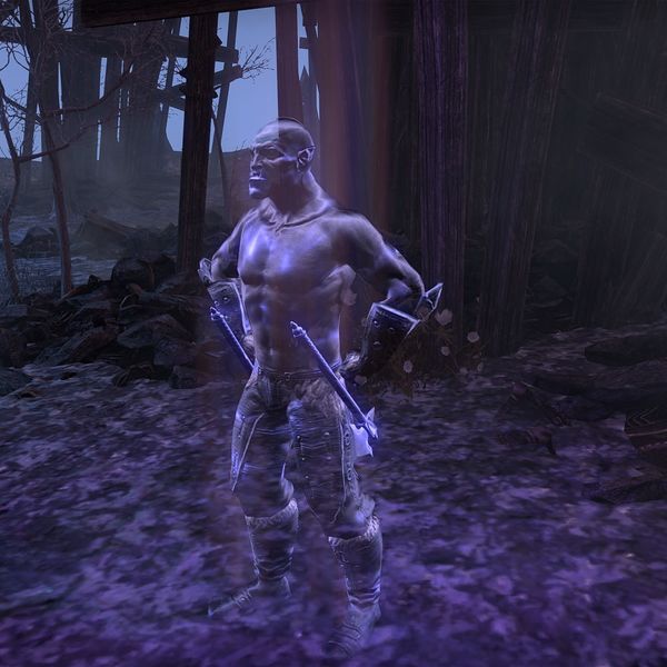 File:ON-npc-Begnar (projection).jpg
