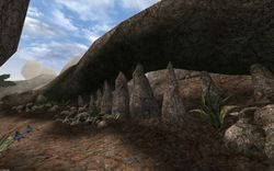 The 'teeth' on the Akamora back road