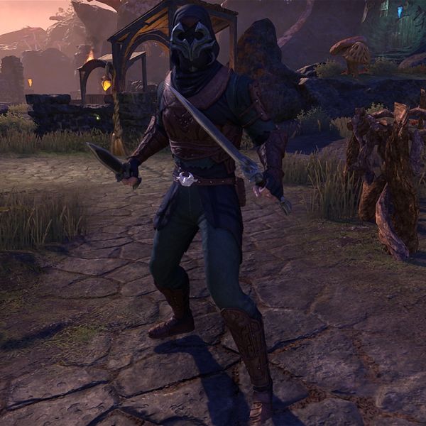 File:ON-npc-Hidden Kindred Assassin.jpg