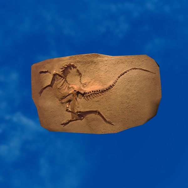 File:SRMOD-LOTD-fossil-t4-large beaked saurian fossil.jpg