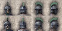 ON-item-armor-Order of the Hour Medium Beast Races.jpg