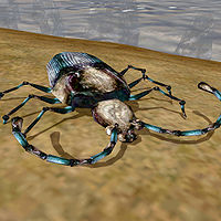 TR3-creature-Blue Beetle.jpg