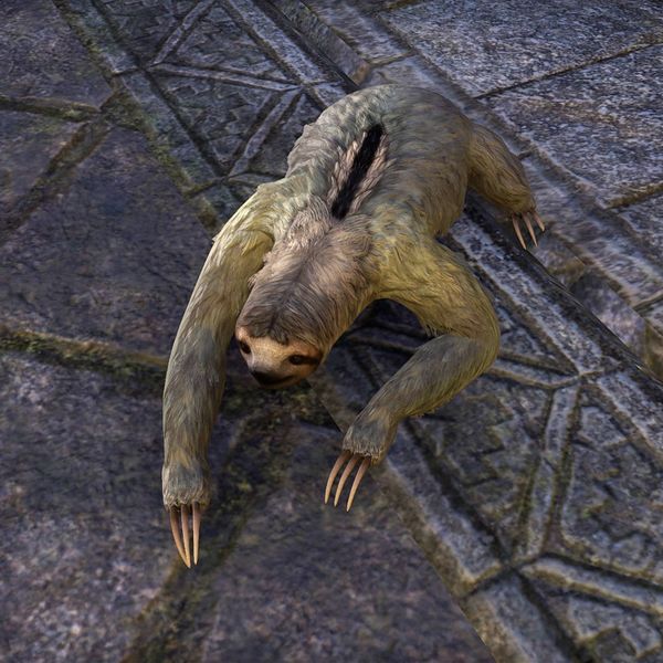 File:ON-creature-Three-Toed Sloth.jpg