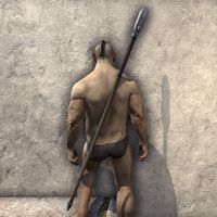 ON-item-weapon-Orc Staff 2.jpg